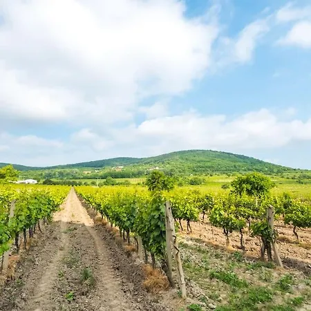 Cosy 2 Bedroom Flat Close To The Town With Parking شقة براتسيلافا