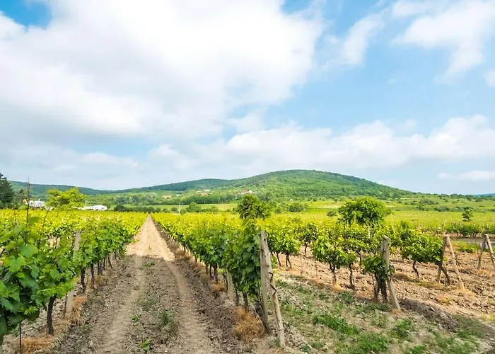 Cosy 2 Bedroom Flat Close To The Town With Parking アパート ブラチスラヴァ