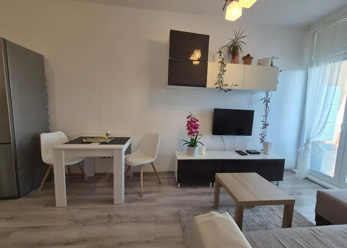 Cosy 2 Bedroom Flat Close To The Town With Parking ブラチスラヴァ